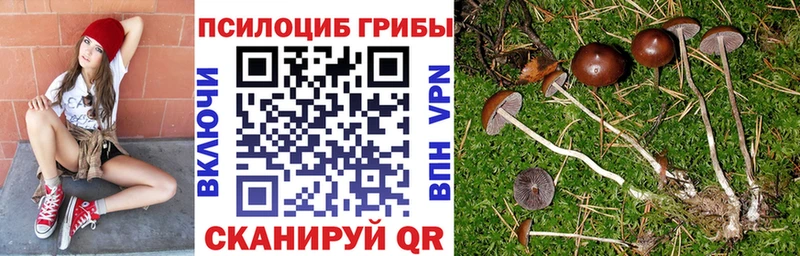 Галлюциногенные грибы Cubensis  Сольцы 